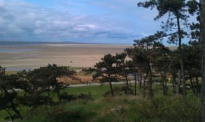 eigen-foto-terschelling-met-strand-en-bomen